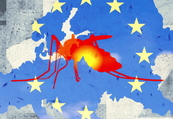 Tropical Diseases Like Dengue Fever and Chikungunya Are on the Rise in Europe